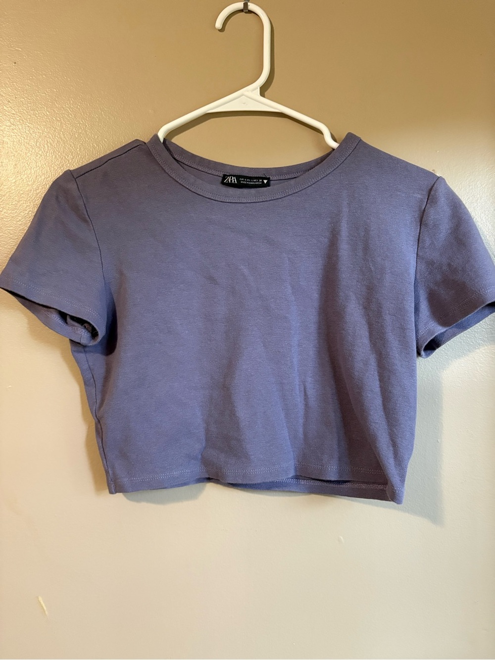 Zara Lavender Cropped Tee Top